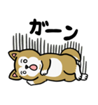 まじめに生きる芝犬くんのスタンプ（個別スタンプ：35）