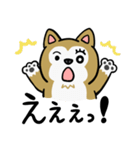 まじめに生きる芝犬くんのスタンプ（個別スタンプ：36）