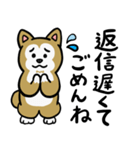 まじめに生きる芝犬くんのスタンプ（個別スタンプ：37）