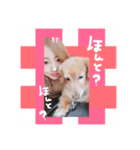 ちゃたろうの日常スタンプ（個別スタンプ：12）