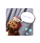 長男のうーたん（個別スタンプ：2）