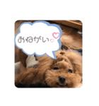 長男のうーたん（個別スタンプ：3）