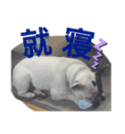 フレブルえるくん第2弾（個別スタンプ：2）