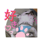 フレブルえるくん第2弾（個別スタンプ：5）