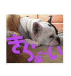 フレブルえるくん第2弾（個別スタンプ：6）