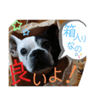 フレブルえるくん第2弾（個別スタンプ：7）