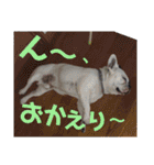 フレブルえるくん第2弾（個別スタンプ：9）