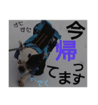 フレブルえるくん第2弾（個別スタンプ：10）