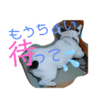 フレブルえるくん第2弾（個別スタンプ：13）