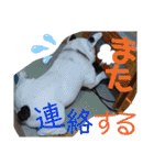 フレブルえるくん第2弾（個別スタンプ：14）