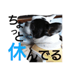 フレブルえるくん第2弾（個別スタンプ：15）