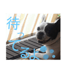 フレブルえるくん第2弾（個別スタンプ：16）