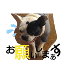 フレブルえるくん第2弾（個別スタンプ：18）
