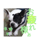 フレブルえるくん第2弾（個別スタンプ：20）