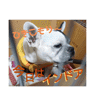 フレブルえるくん第2弾（個別スタンプ：25）