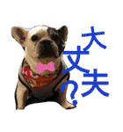 フレブルえるくん第2弾（個別スタンプ：30）