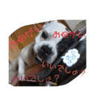 フレブルえるくん第2弾（個別スタンプ：33）