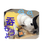 フレブルえるくん第2弾（個別スタンプ：34）