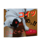フレブルえるくん第2弾（個別スタンプ：35）