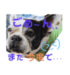 フレブルえるくん第2弾（個別スタンプ：36）