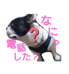 フレブルえるくん第2弾（個別スタンプ：39）