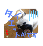 フレブルえるくん第2弾（個別スタンプ：40）