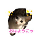 みけねこもなか（個別スタンプ：5）