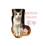 みけねこもなか（個別スタンプ：6）