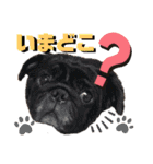 ふみファミリー（個別スタンプ：16）