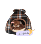 トイプードルくま2（個別スタンプ：3）
