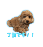 ペコくんの日常 2（個別スタンプ：2）