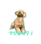ペコくんの日常 2（個別スタンプ：13）