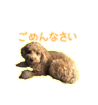 ペコくんの日常 2（個別スタンプ：18）