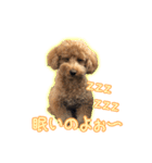 ペコくんの日常 2（個別スタンプ：21）