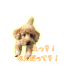 ペコくんの日常 2（個別スタンプ：22）