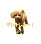 ペコくんの日常 2（個別スタンプ：23）