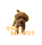 ペコくんの日常 2（個別スタンプ：24）