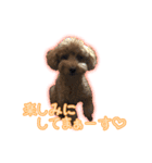 ペコくんの日常 2（個別スタンプ：29）