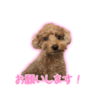 ペコくんの日常 2（個別スタンプ：35）