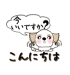 【大きめ文字】シーズー犬(一言付)34（個別スタンプ：2）