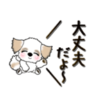 【大きめ文字】シーズー犬(一言付)34（個別スタンプ：15）