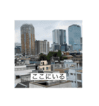 テキトテキスト（個別スタンプ：2）