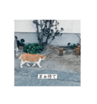 テキトテキスト（個別スタンプ：7）