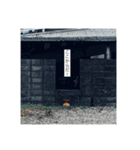 テキトテキスト（個別スタンプ：30）