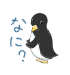 ペンギンConte2（個別スタンプ：4）