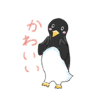 ペンギンConte2（個別スタンプ：20）