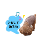 うちの愛犬トイプードル（個別スタンプ：4）