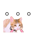 猫の日常ฅ•ω•ฅฅ•ω•ฅPart3（個別スタンプ：4）