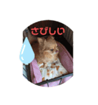 Tomo ho1（個別スタンプ：2）