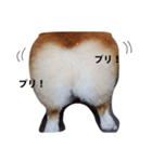 ひめっちだよん（個別スタンプ：4）